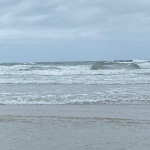 Meet your Posher, Lexi